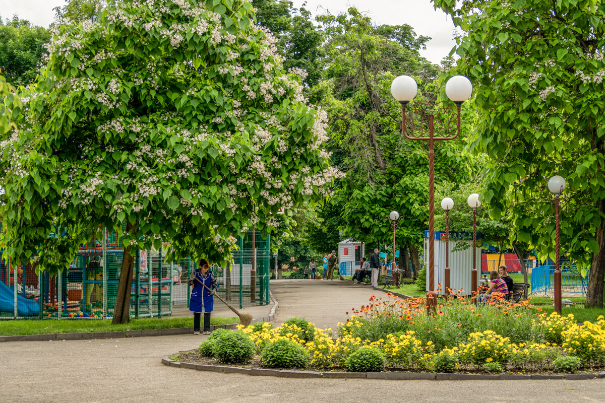 Городской парк - Игорь Сикорский