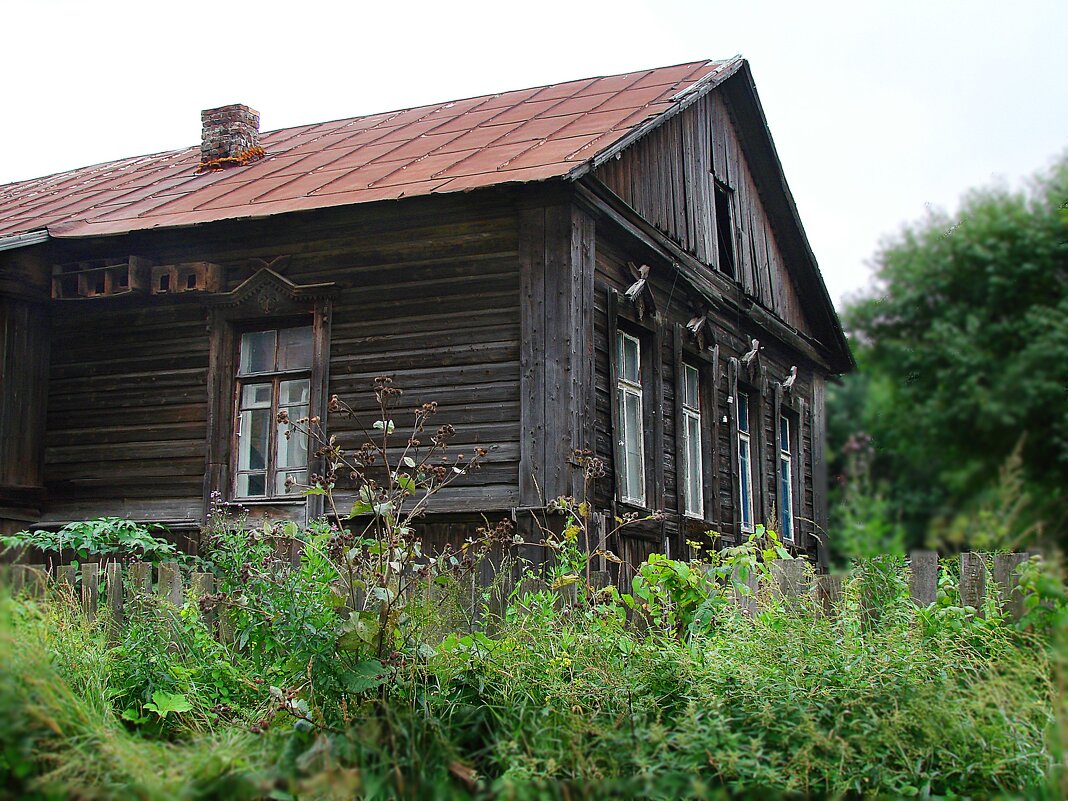 Старый дом со скворечниками. - ANNA POPOVA