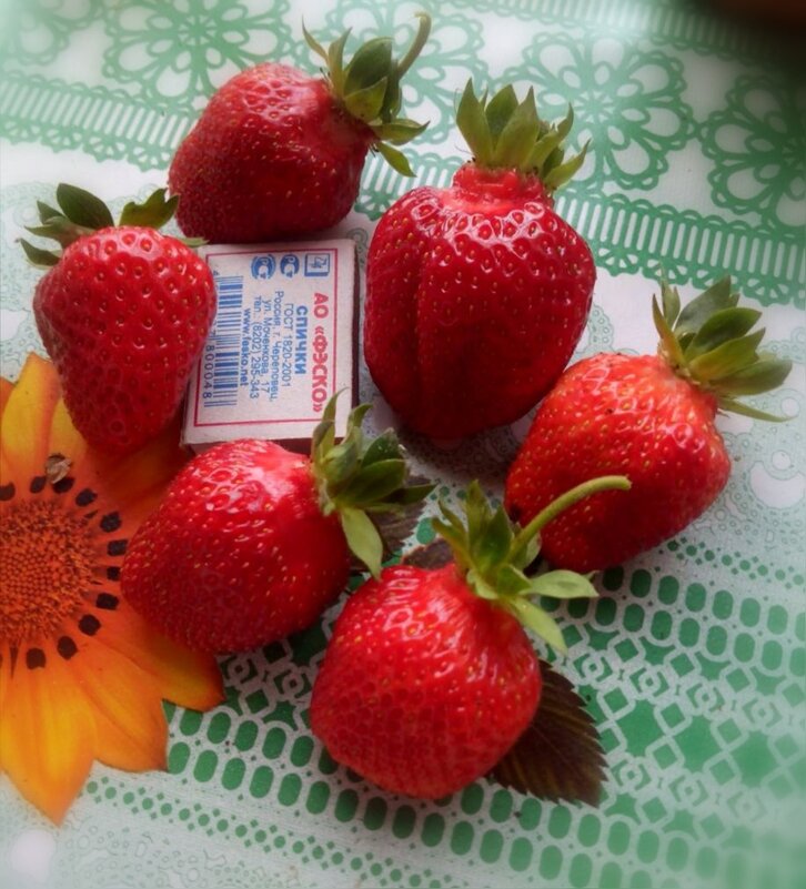 Крупные и ароматные ягоды... - Тамара Бедай 