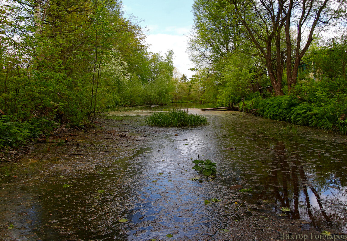 Череховецкий ручей,Бокситогорск - Laryan1 