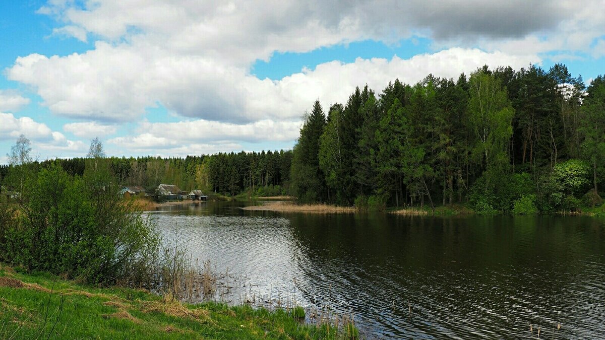 Моя Смоленщина (из поездок по области). - Милешкин Владимир Алексеевич 