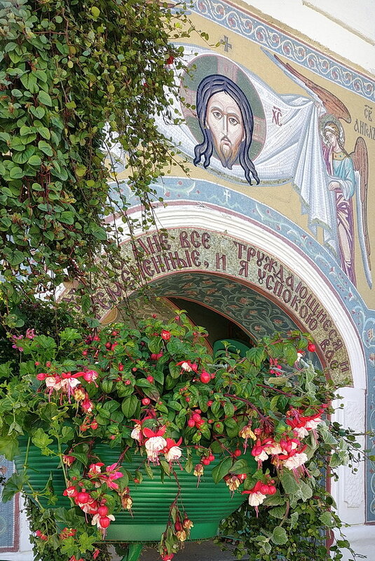 Возле древних стен Толгского монастыря, красота июньского цветения - Николай Белавин