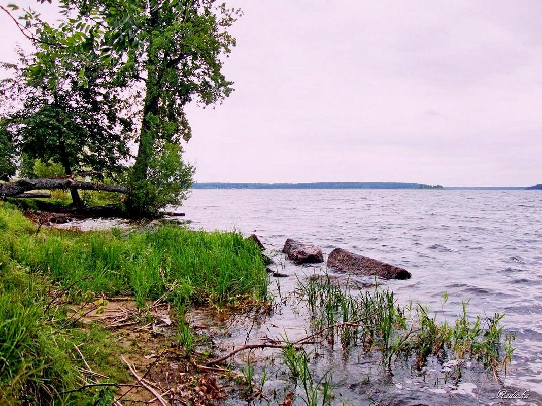 Озеро Селигер - Raduzka (Надежда Веркина)