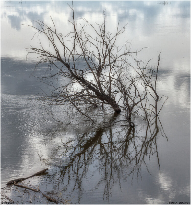 Наводнение. Отражение в воде - Александр Максимов