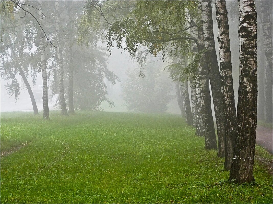 Туман в городе - Валентина *