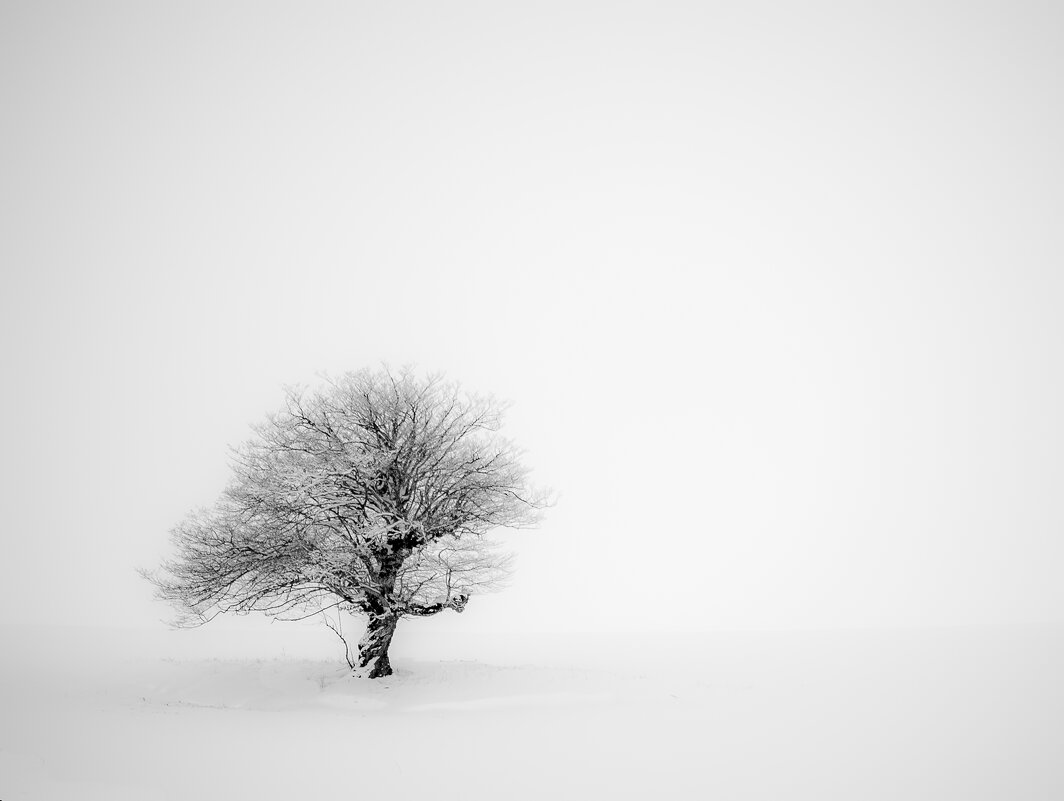 Loneliness in winter - Сурен Сарумян