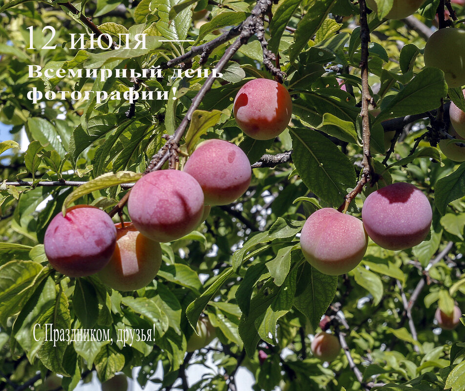 С Праздником, друзья! - Валерий Басыров