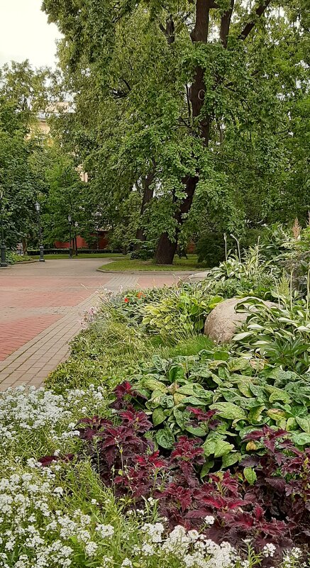 Измайловский сад. Июль - Наталья Герасимова