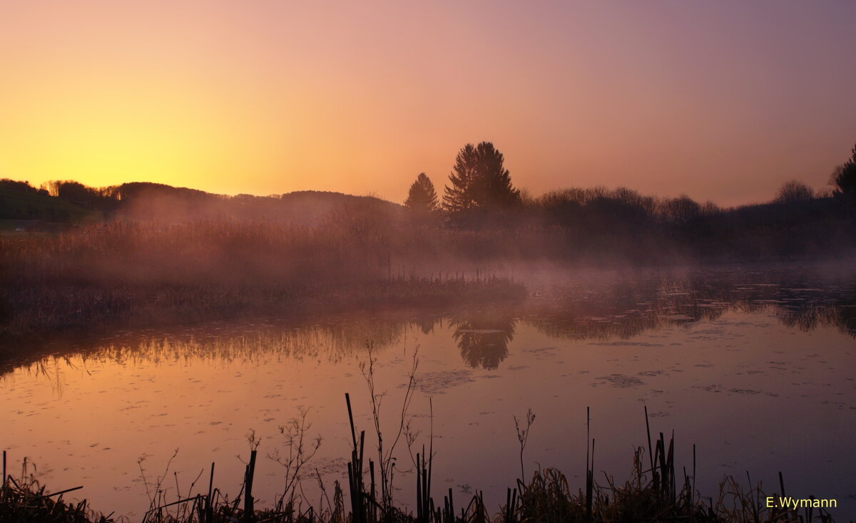 misty morning - Elena Wymann