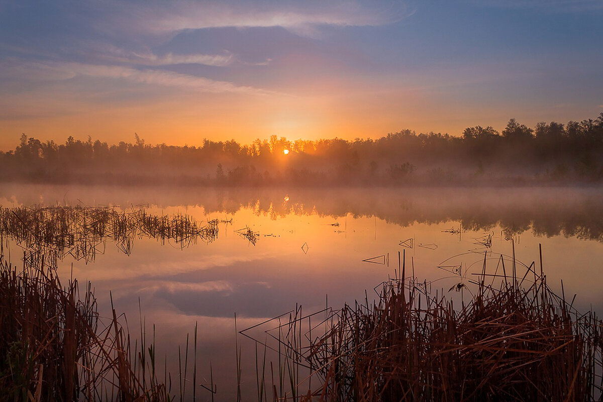 Летним утром на озере в тёплых лучах солнца. - Pavel Vasilev