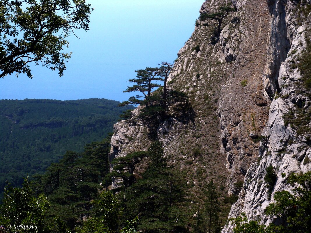 На склонах Ай-Петри - Татьяна Ларионова