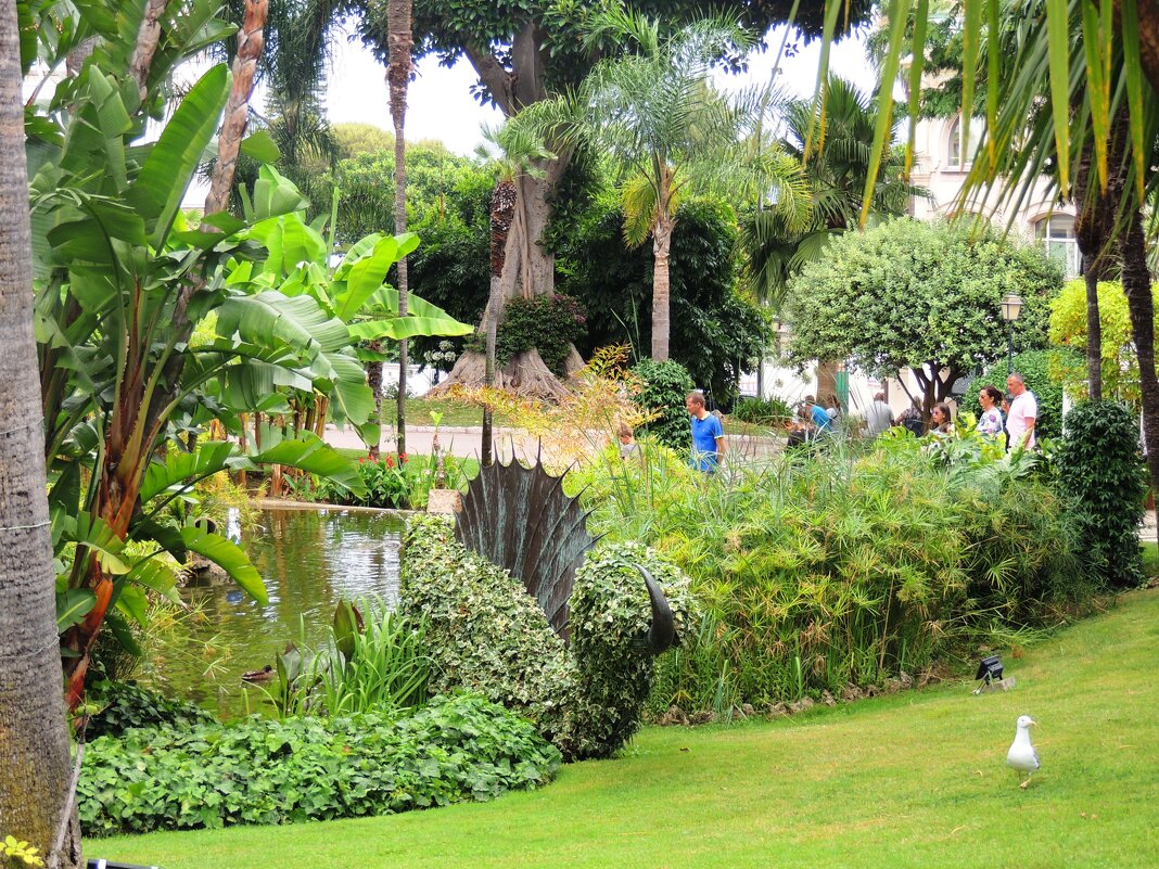 Сады святого Мартина - Гала 