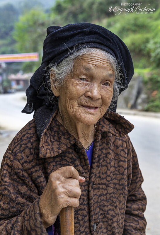 Бабушка из Вьетнама - Евгений Печенин
