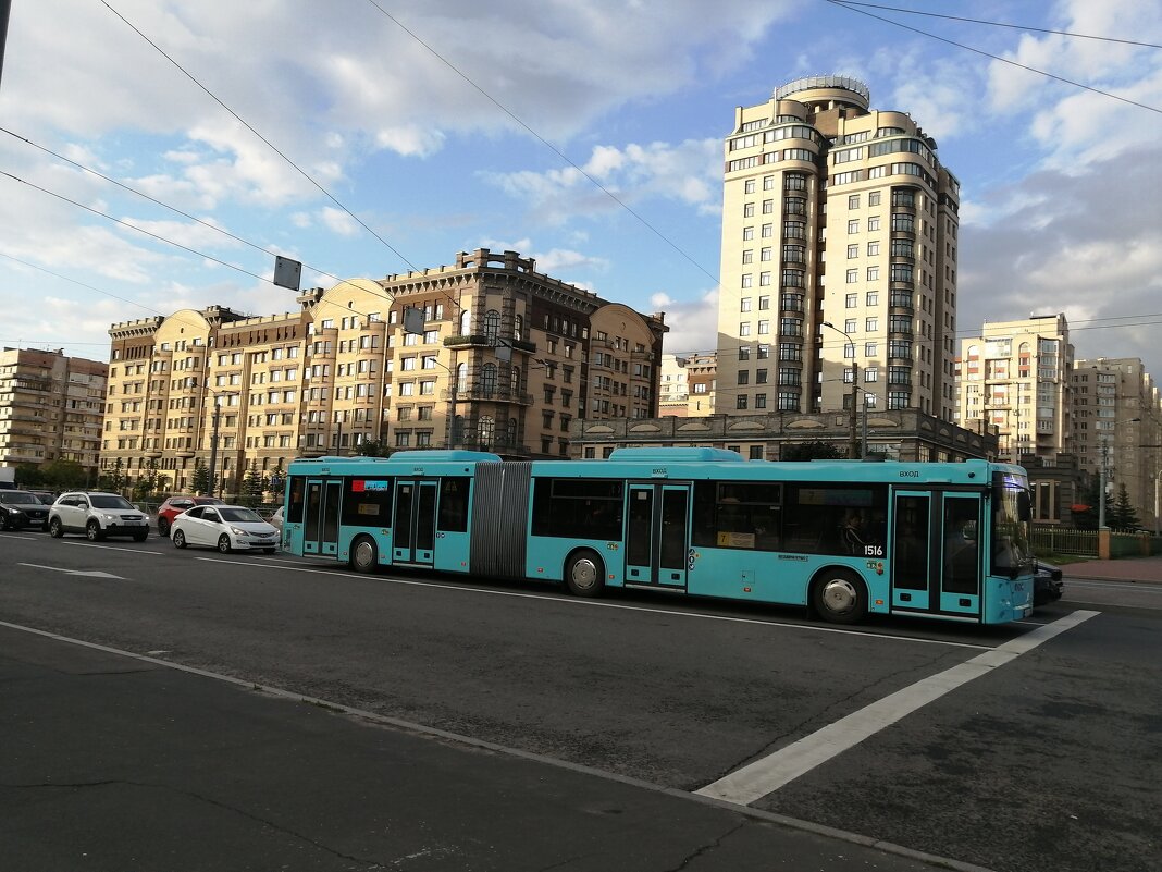 Автобус в Санкт-Петербурге - Митя Дмитрий Митя