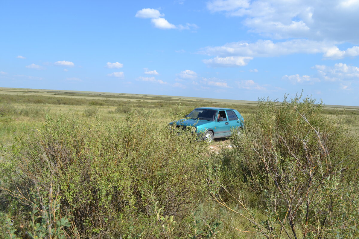 Автотуризм в степях... - Георгиевич 