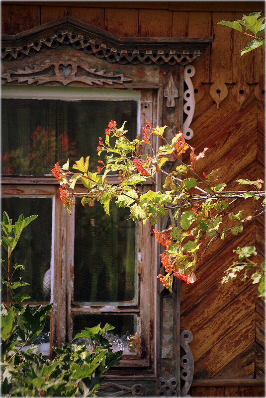 Домик окнами в сад... - Александр Шимохин