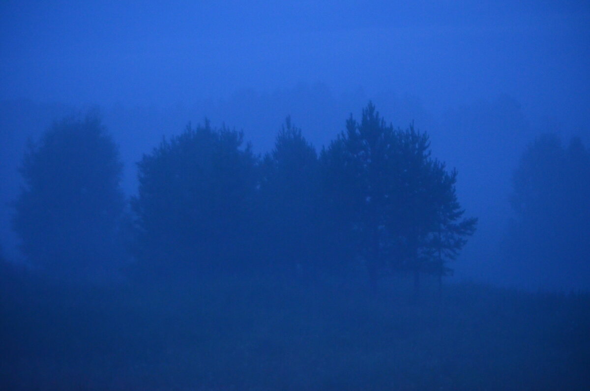 Синий туман - Tim Andrews