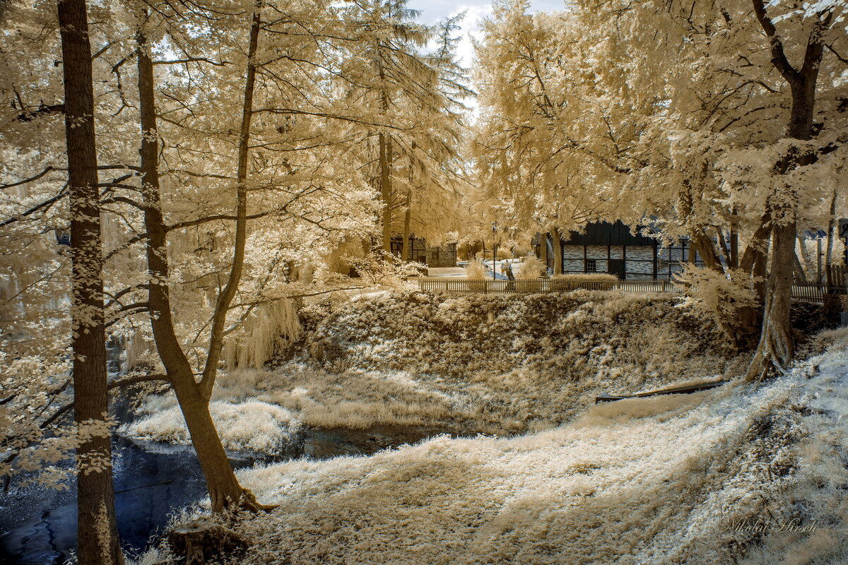 В июльском парке - Николай Гирш