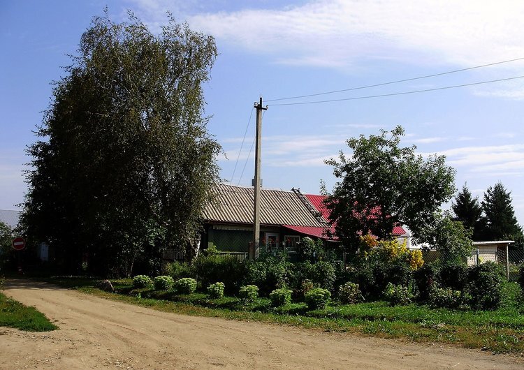 В деревне Кузино - Светлана Z.