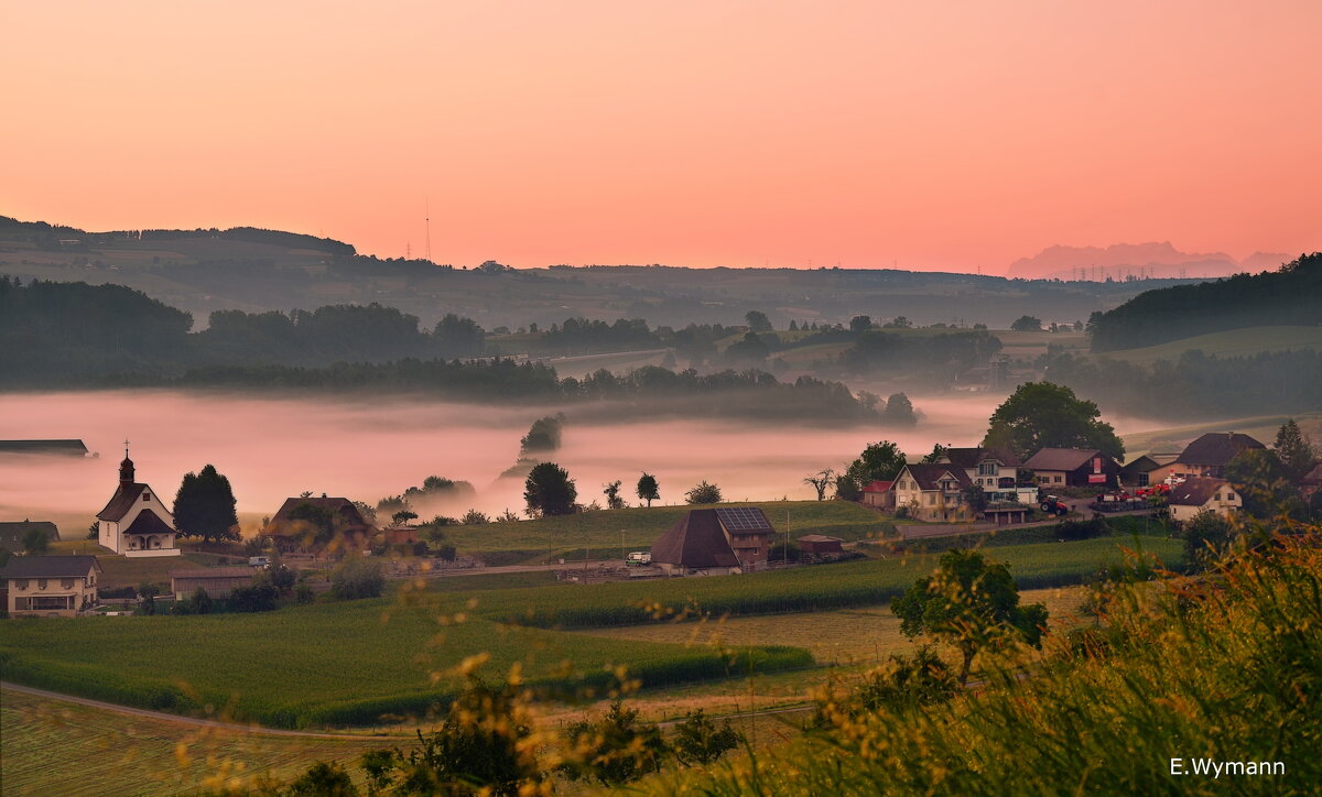 misty morning - Elena Wymann