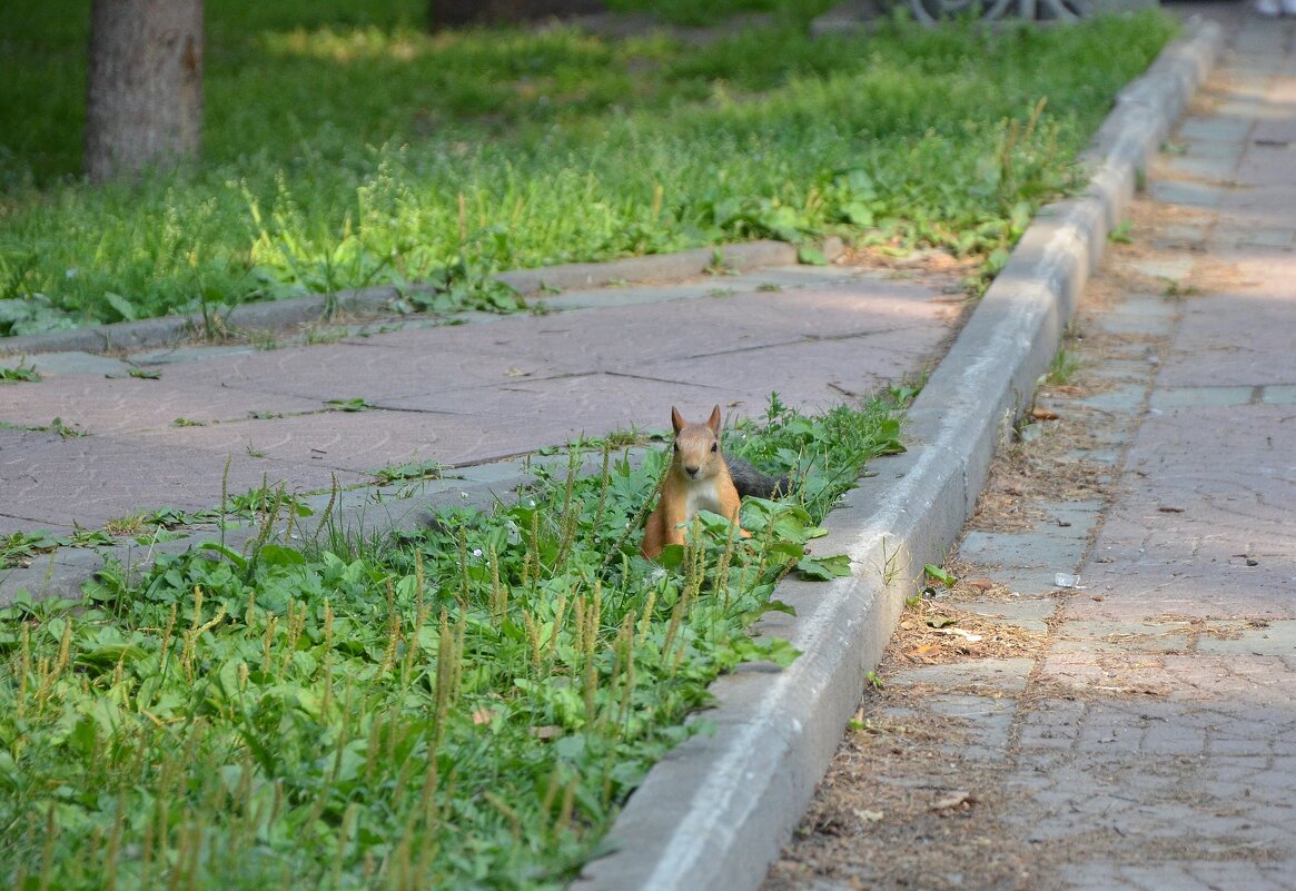 *** - Андрей К