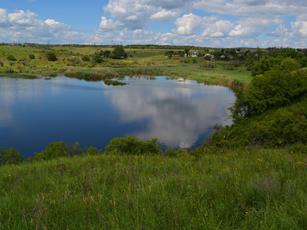 Шахты. Плавни Грушевского водохранилища летом. - Пётр Чернега