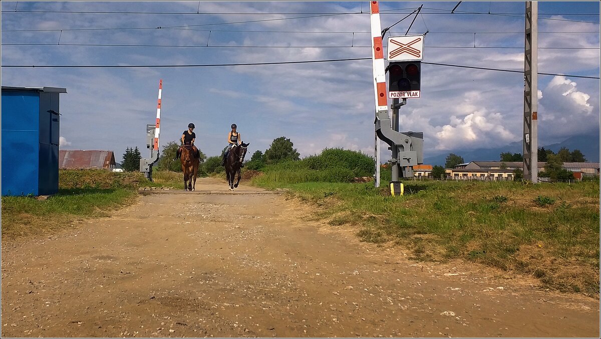 человек и лошадь - Jiří Valiska