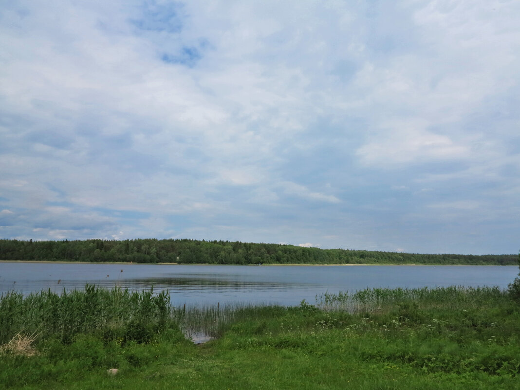 На озере - Наталья 