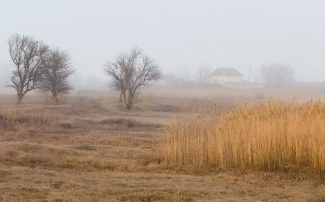 село, туман - Александр 