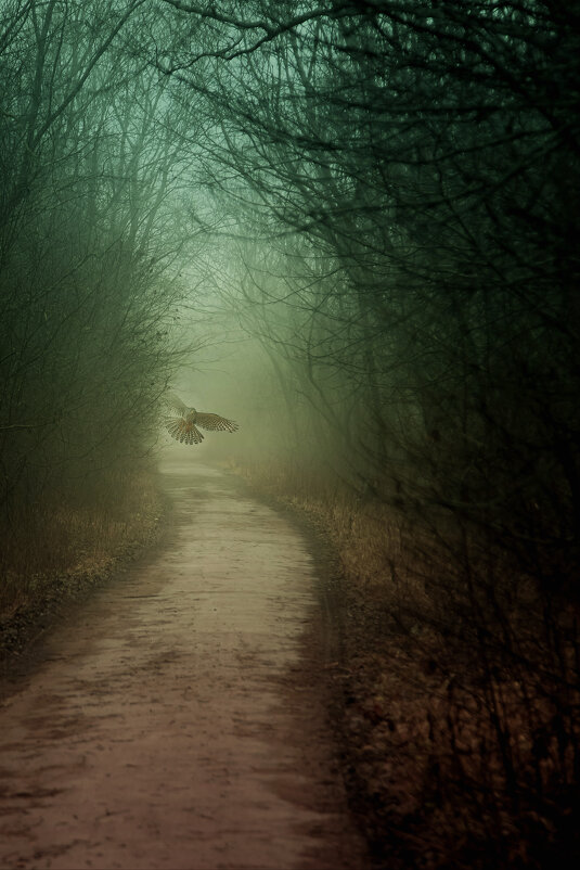 В туманном полумраке - Александр Игнатьев
