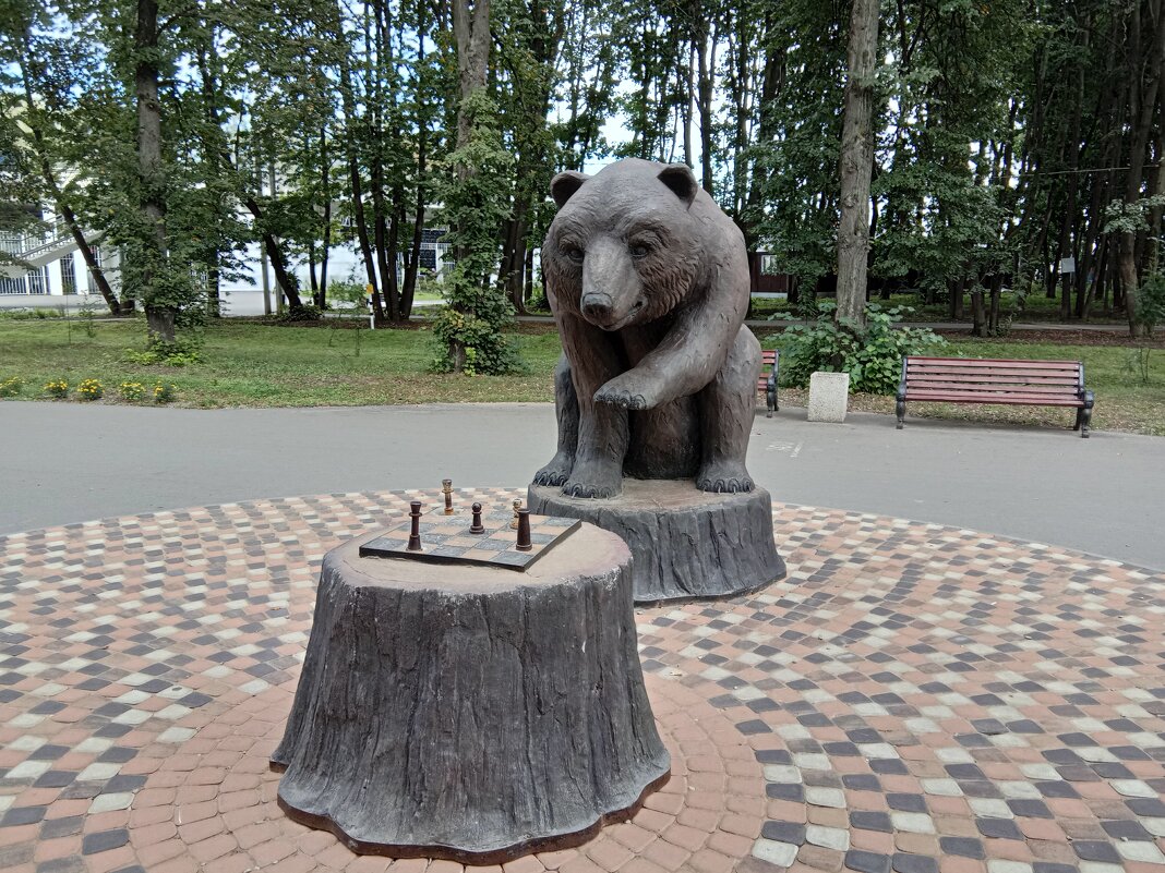 Медведь-шахматист - Tarka 