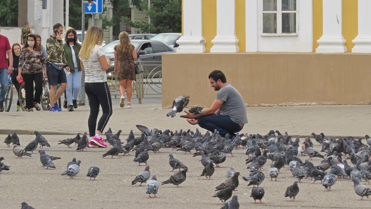 Голуби на Сусанинской площади в Костроме. - Елен@Ёлочка К.Е.Т.