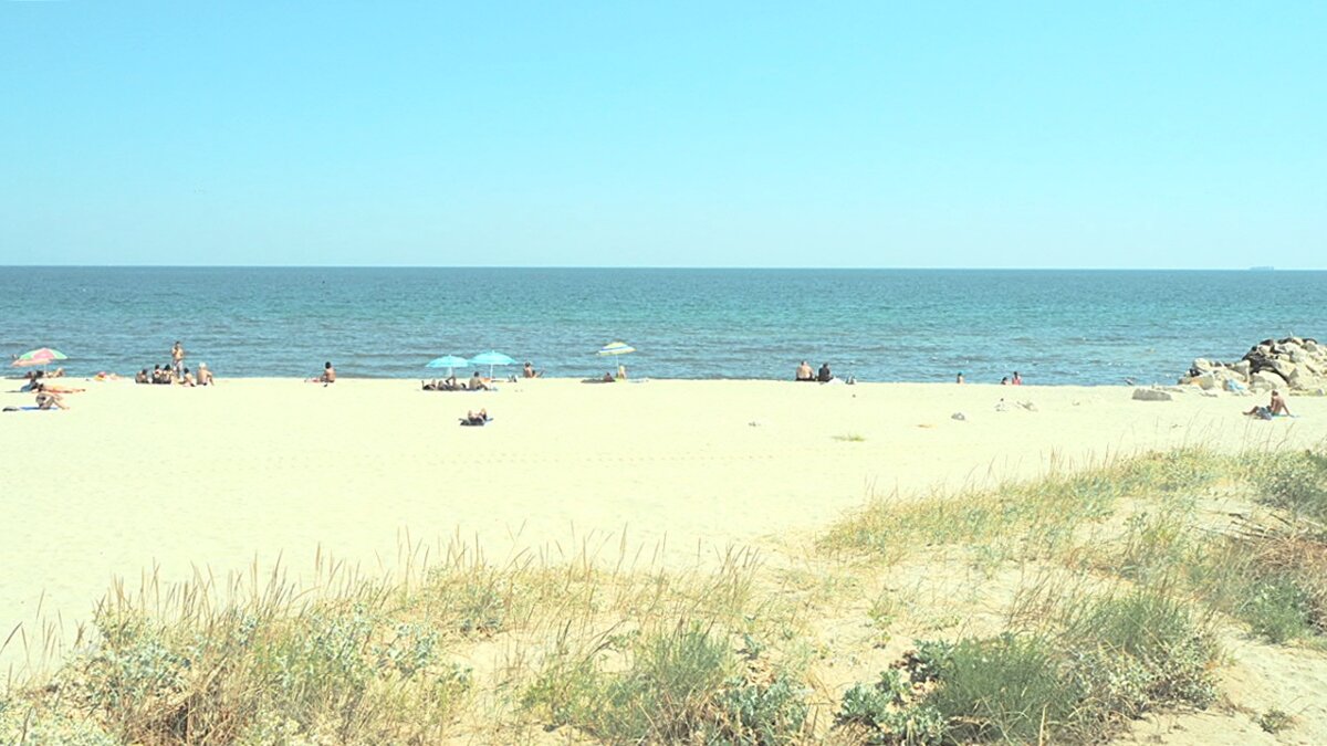 Август, море, пляж... - wea *