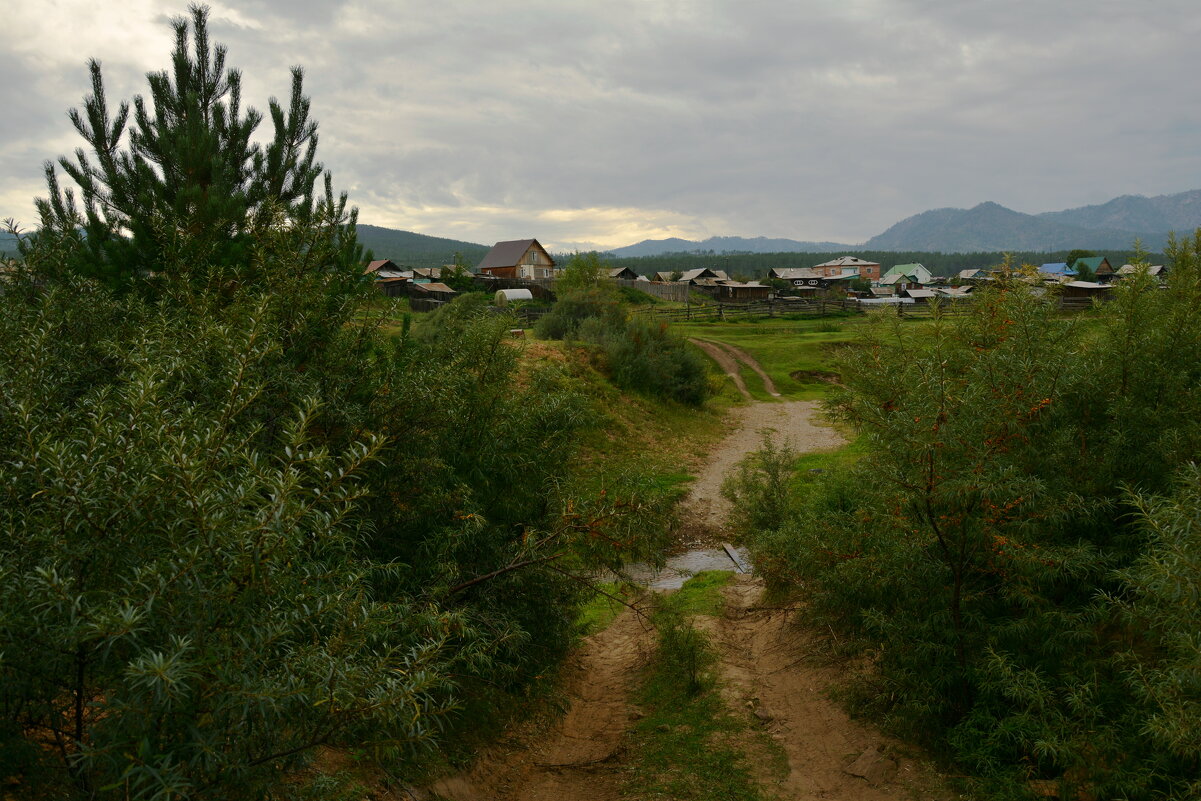 * - Наталья Покацкая