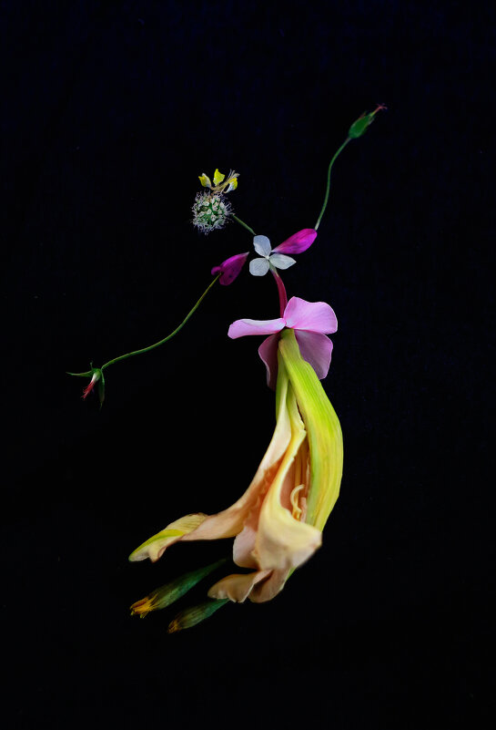 Балерина из цветов - Екатерина Постонен