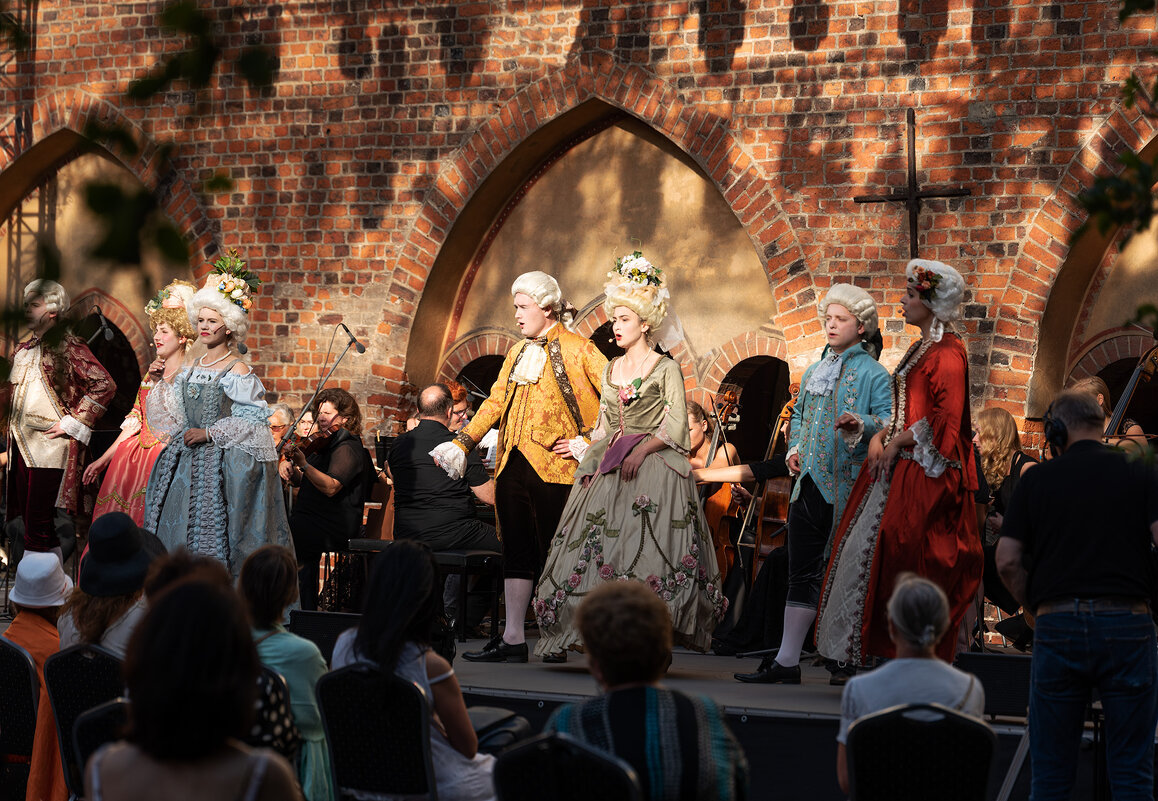 Праздник города. Музыкальные встречи в саду Домского собора - Vlaimir 
