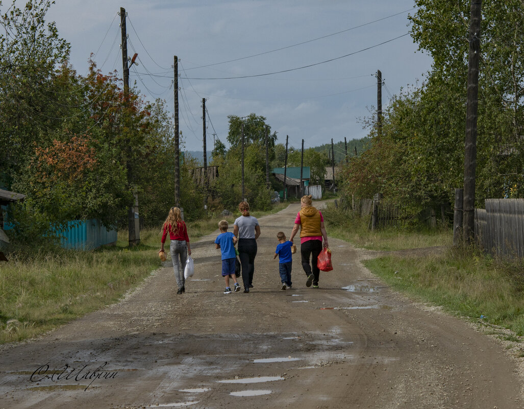 Сцена из сельской жизни - Сергей Шаврин