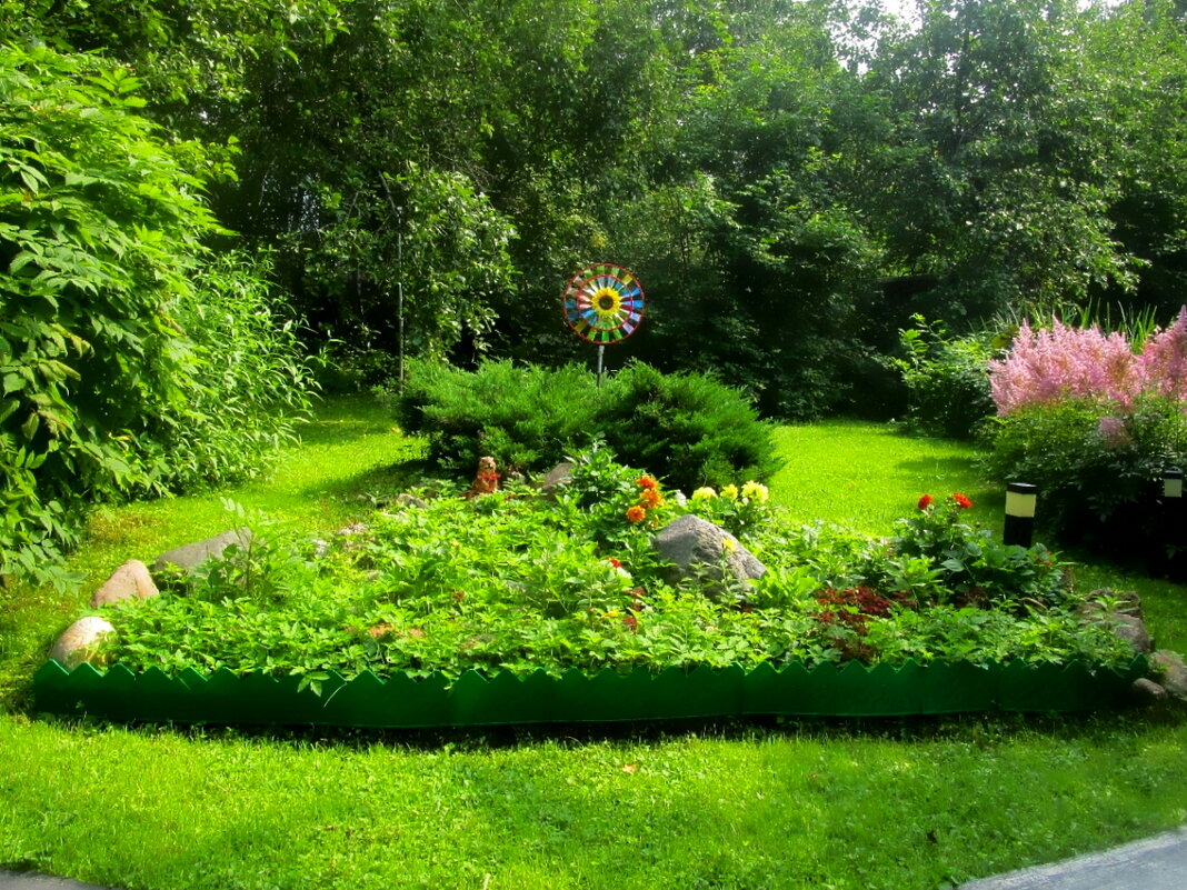 Уголок моего сада - Ольга Довженко