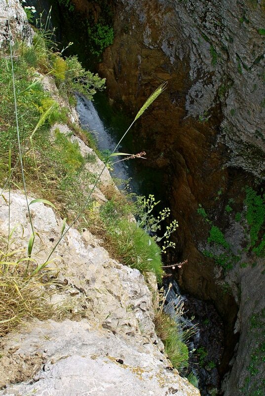 ПРОГУЛКА до водопада. - Виктор Осипчук