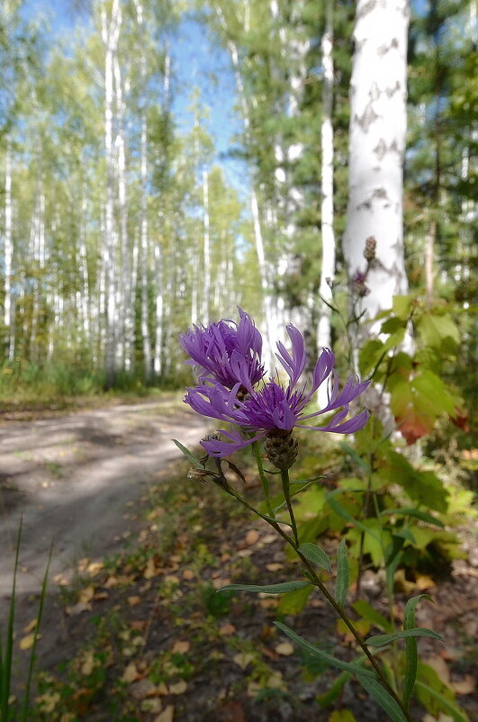 *** - Яковлев Виктор 