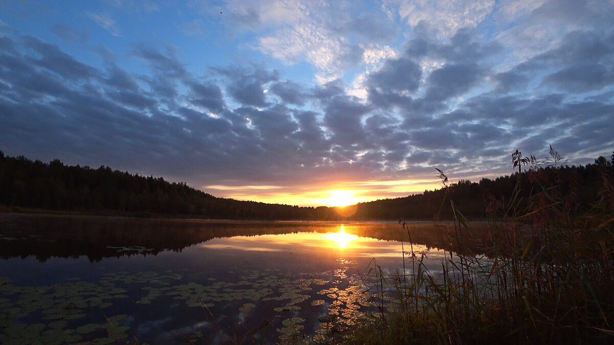 Рассвет на лесном озере - Денис Бочкарёв