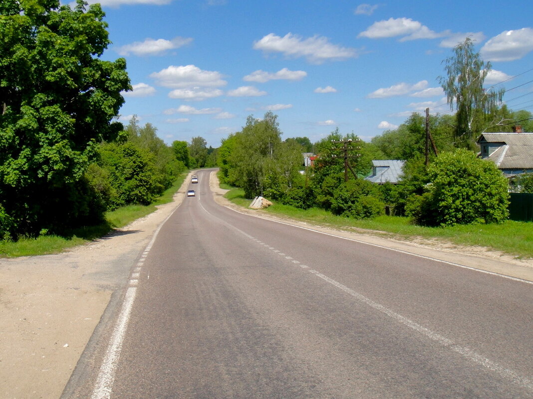 Старое Ярославское шоссе (50-ый км) - Ольга Довженко