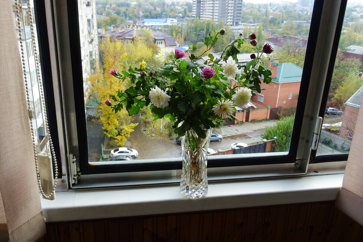 Осень на окне и за окном - Татьяна Р 