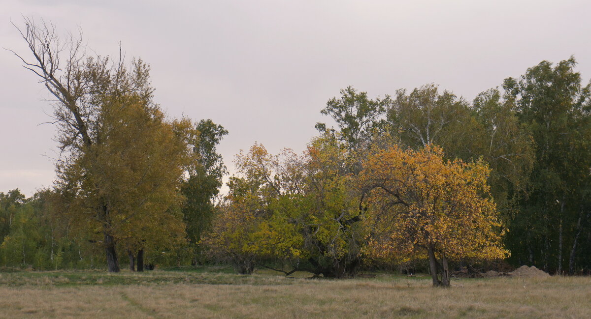 Осень. - сергей 