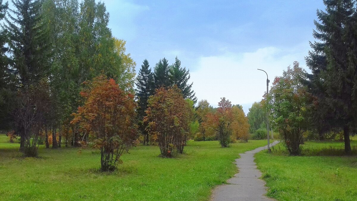 В парке . - Мила Бовкун