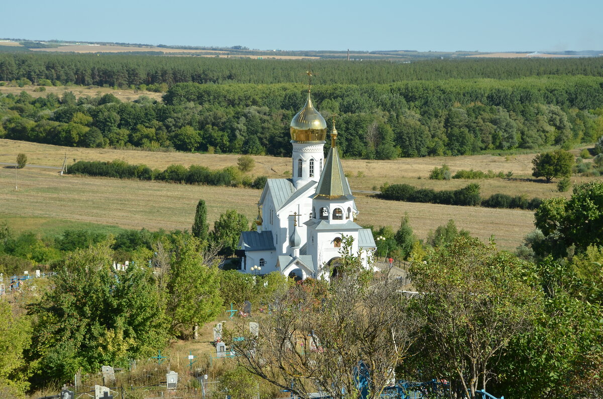 Церковь Донской иконы Божией Матери в Холковском монастыре - Oleg4618 Шутченко