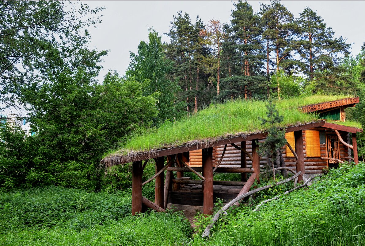 Избушка в Черняевском лесу (Пермь) - Олег Курочкин