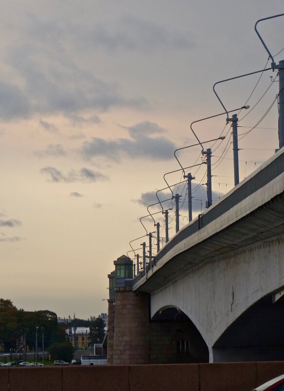 мост Александра Невского - Елена 