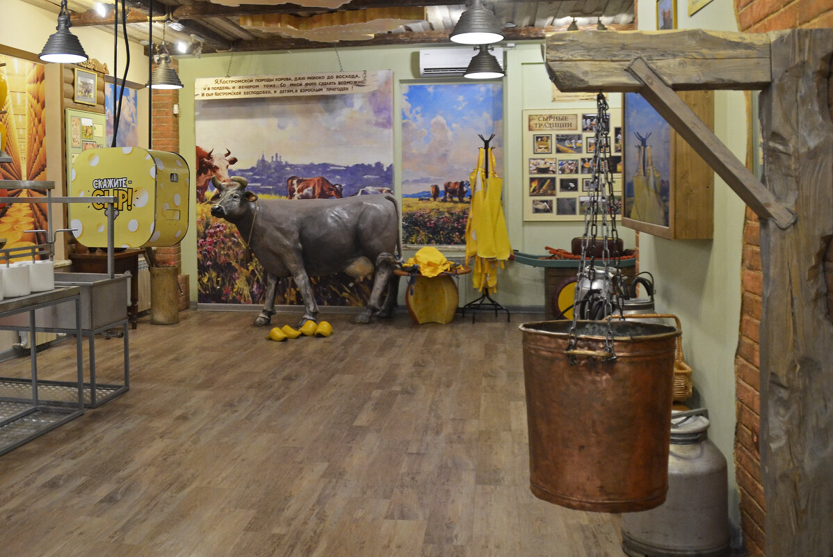 Музей сыра - Нина Синица