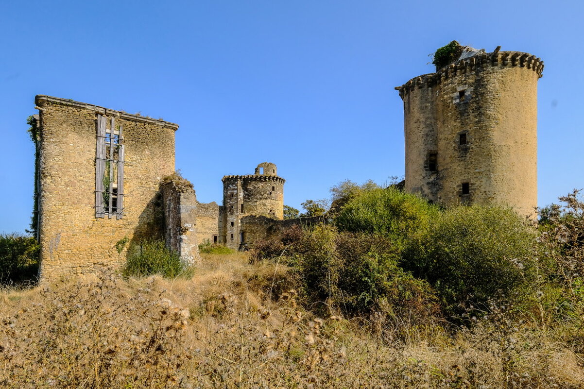 Замок de la Prune au Pot, 12-ый век - Георгий А